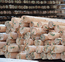 Wooden Poles at MEE 2026