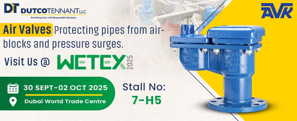 Air valve for water systems