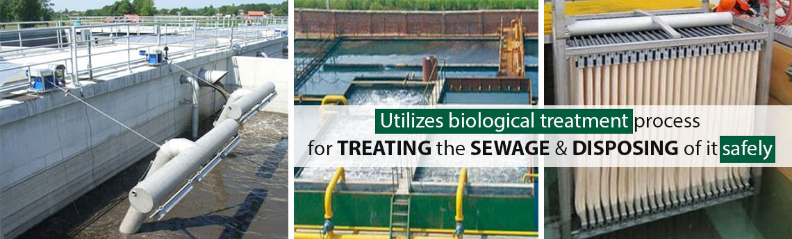 Sewage Treatment Plant (STP)