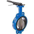 Butterfly Valve For Irrigation Pumping Station