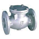 TSE Check Valve