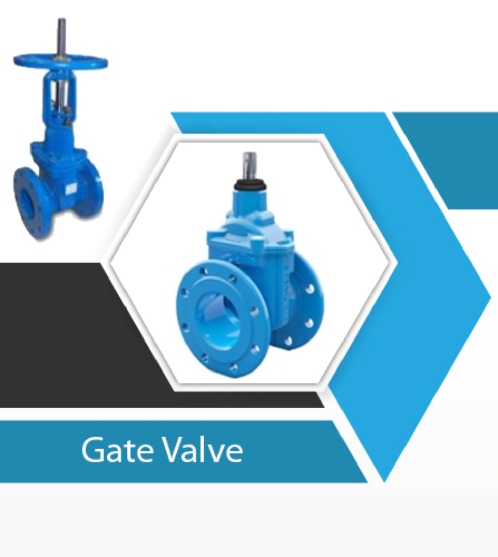 Gate Valves from Belgicast live