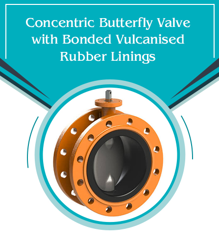 Concentric butterfly valve