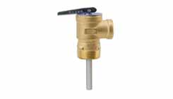 Temperature & Pressure Relief Valves