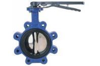 TSE Lug  Butterfly Valves Treated Sewage Effluent (TSE)