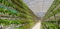 Aeroponics Agriculture and Horticulture