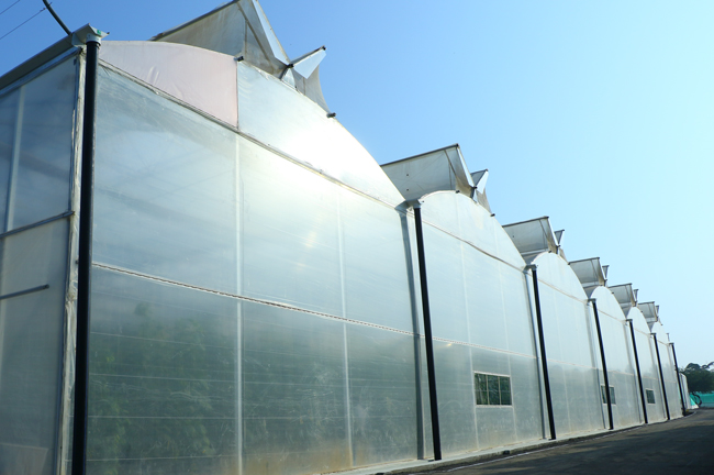 Green House Agriculture and Horticulture