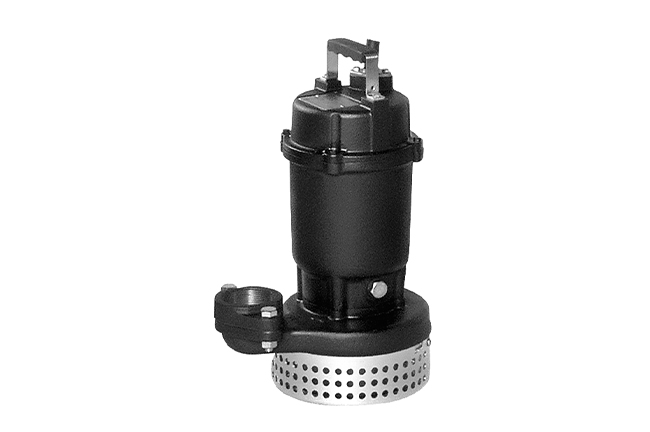 Model DS Water Pumps