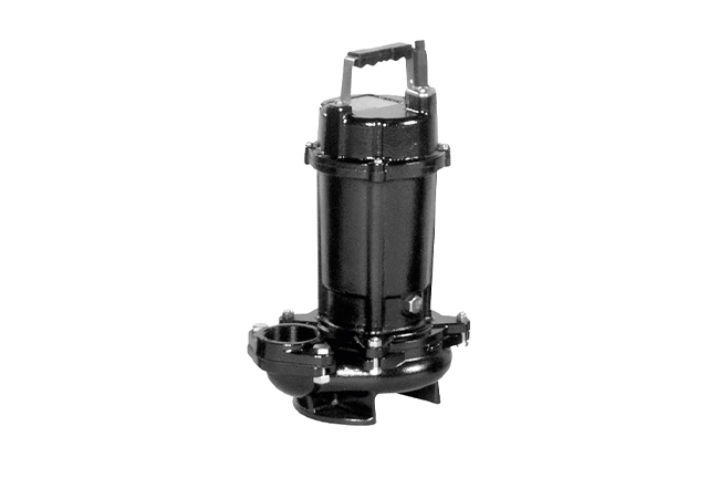 Model DVS/ DVSH Water Pumps