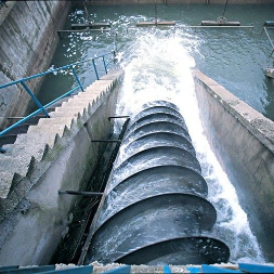archimedean screw pumps