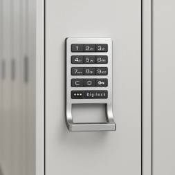 electronic door locks