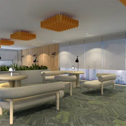 acoustic ceiling panels