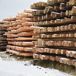 impregnated wooden poles