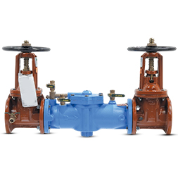 Series LF009 reduced pressure valve