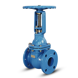 rising stem ductile iron gate valve