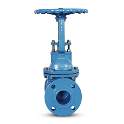 rising stem di gate valve