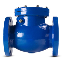 swing check valve