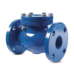Check Valves