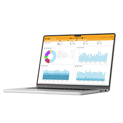 WIM road traffic monitoring system