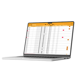 WIM road traffic monitoring system