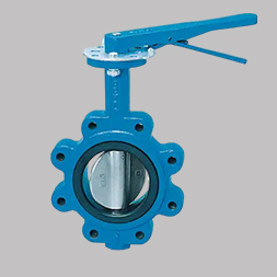 W1911 butterfly valve supplier