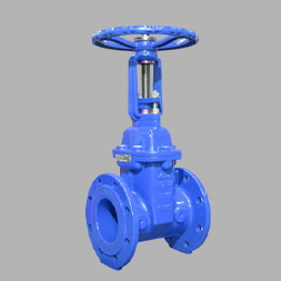 flange rising stem gate valve in Dubai