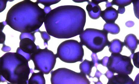 Physics, Chemistry & Biology Labs Educational & Training