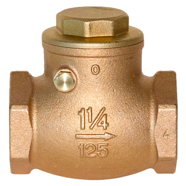 Check Valve Maritime & Energy