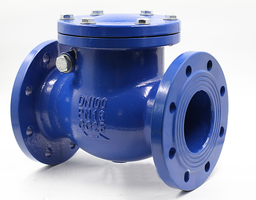 Check Valve Maritime