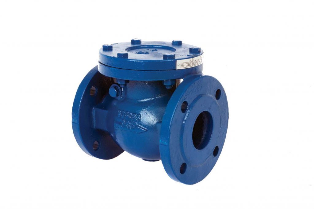 Swing Check Valve - Ductile Iron Plumbing Products