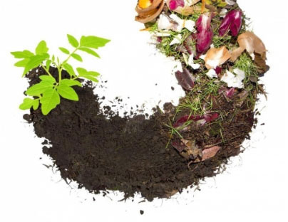 Composter Analytical Solutions