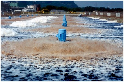 Surface Aerators Waste Water Treatment