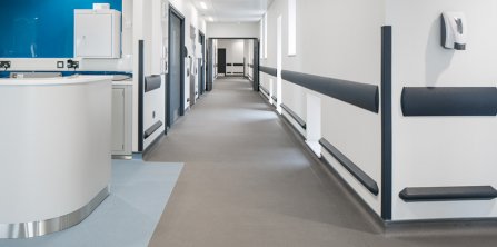 Wall Protection System