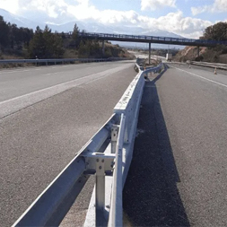 Emergency Opening Gates - BarrierGuard 800