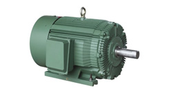 Crusher Duty  Motors