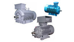 Explosion Proof Motors