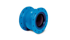 Nozzle Type Check Valve