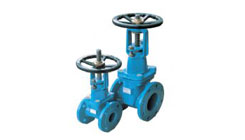 Resilient Seated Gate Valve – Rising Stem