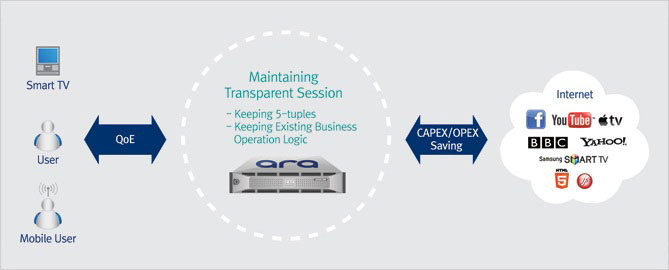 Transparent Caching Data Traffic Management and Delivery