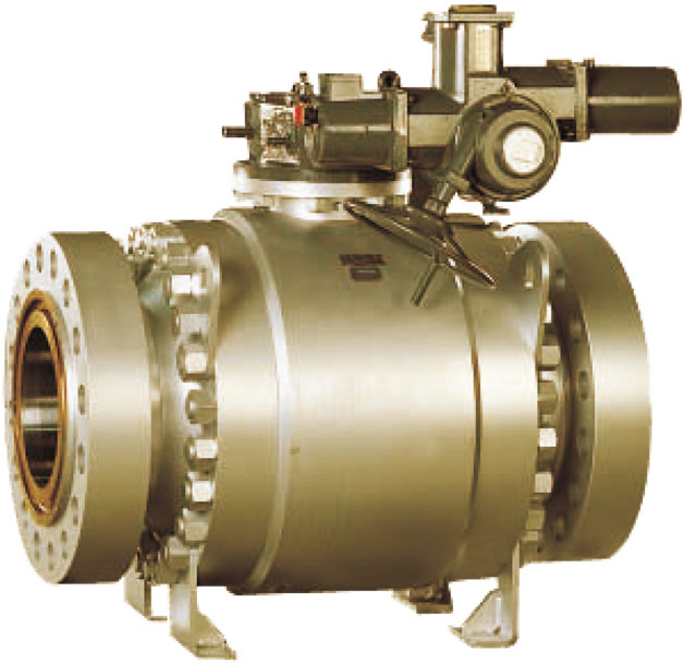 Trunnion Mounted Ball Valves Dutcotennant