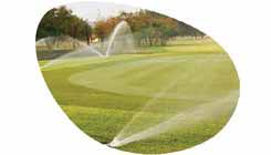 Irrigation & Landscaping