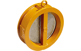 Swing-Flex® Check Valve