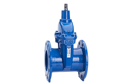 DN100 Gate Valve